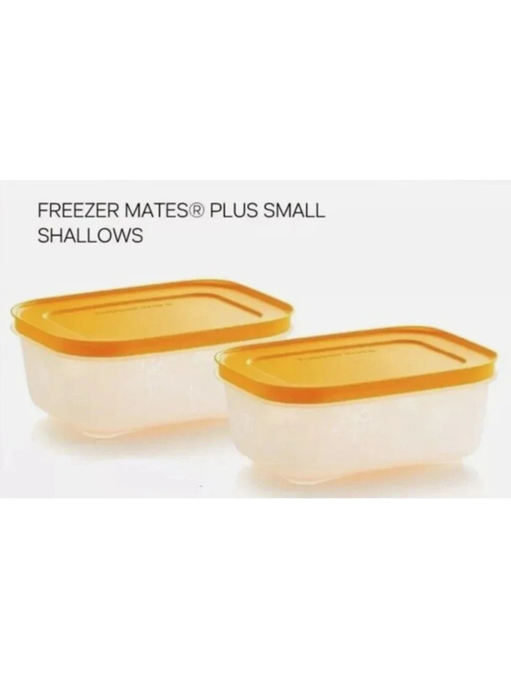 Tupperware Freezer Mates PLUS Small Shallow Container Set of 4